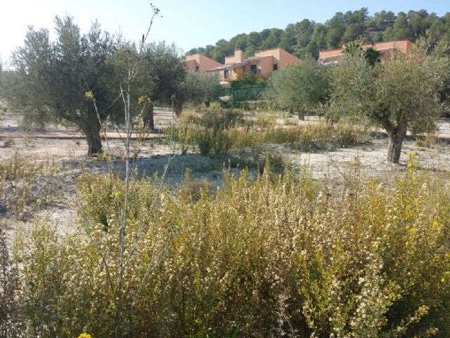 Presentan una Moción ante el total abandono en el que se encuentran los jardines del Parque junto a los Molinos y las Zonas Verdes en Urbanización Nueva Caravaca