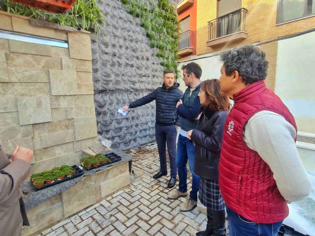 Caravaca crea el jardín vertical más grande la Región formado por más de dos mil plantas de veinte especies