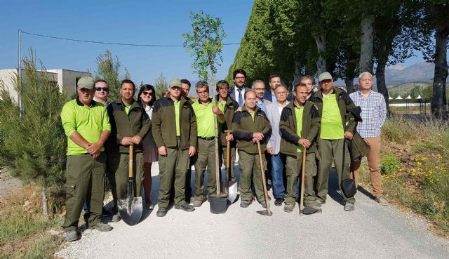 Usuarios de Apcom reforestan el último tramo de la Vía Verde y el entorno del Castillo