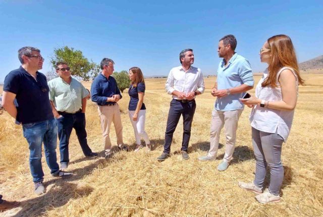 Agricultores de cultivos de secano de Caravaca reciben las ayudas por la protección de las aves esteparias