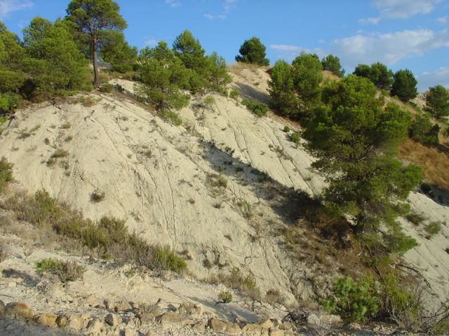 El PP pedirá en el Pleno del Ayuntamiento de Caravaca la declaración de Monumento Natural para el Barranco del Gredero, uno de los Lugares de Interés Geológico más importantes de la Tierra