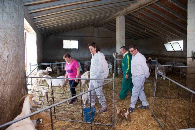 La directora general y el concejal de Agricultura visitan la explotación la caravaqueña Engracia Gil, ‘Ganadera del Año’