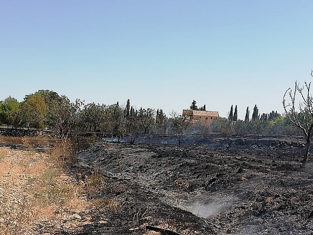 Incendio agrícola en Caravaca de la Cruz