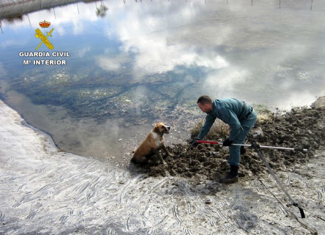 La Guardia Civil rescata a un perro atrapado en una balsa de riego de la pedanía caravaqueña de Archivel