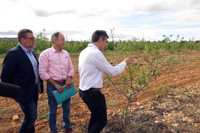 El cultivo de variedades de pistacho da buenos resultados en el Centro de Demostración Agraria 'Las Nogueras' de Caravaca