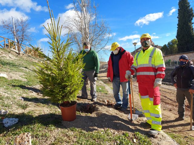 Con la plantación de más de 400 árboles y arbustos en los 'Caminos Rojos', finaliza el programa que durante cuatro meses ha trabajado en la limpieza