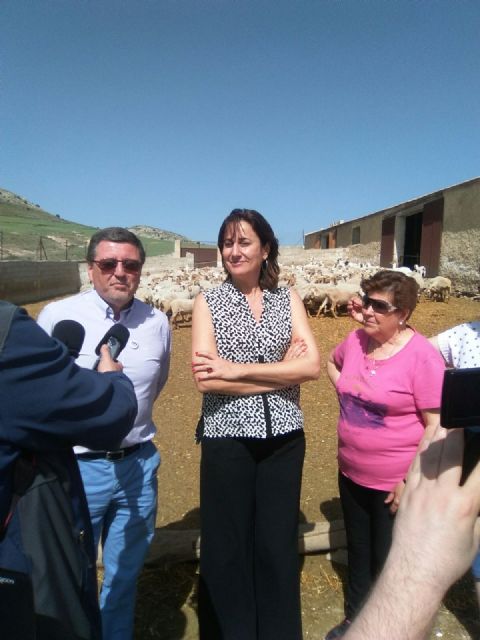 Visita a la explotación ganadera de ovino de Engracia Gil en Caravaca de la Cruz
