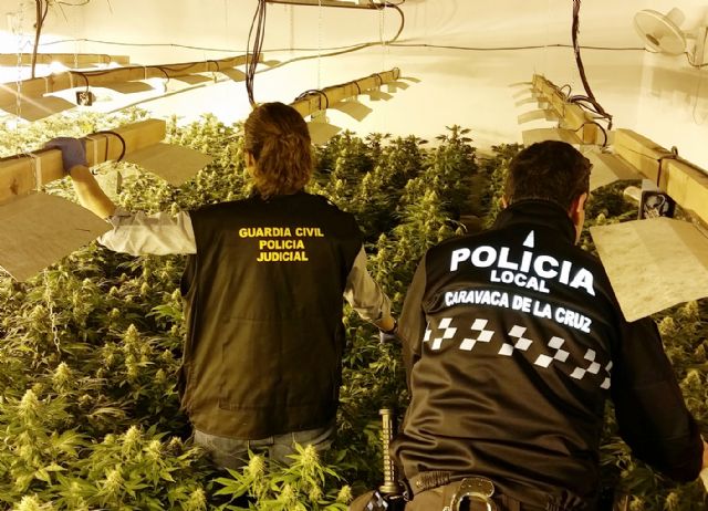 Desmantelan un invernadero de marihuana en una vivienda de la pedanía caravaqueña de Los Prados