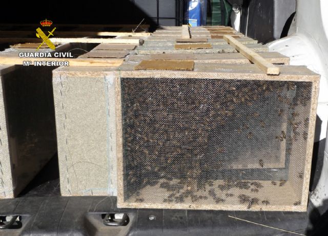 La Guardia Civil detiene a un vecino de Caravaca de la Cruz dedicado a sustraer abejas